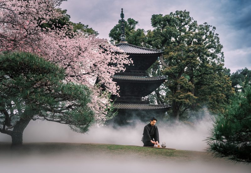 Mindful MITATE Tea Ceremony Comes to Hotel Chinzanso Tokyo’s Japanese Garden: A Tranquil Tea Experience