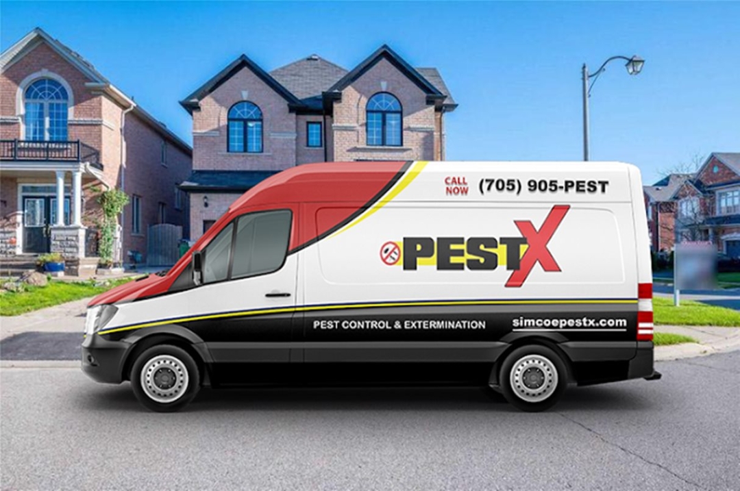 Simcoe Pest X Expands Tick Control Services Across Barrie and Simcoe County